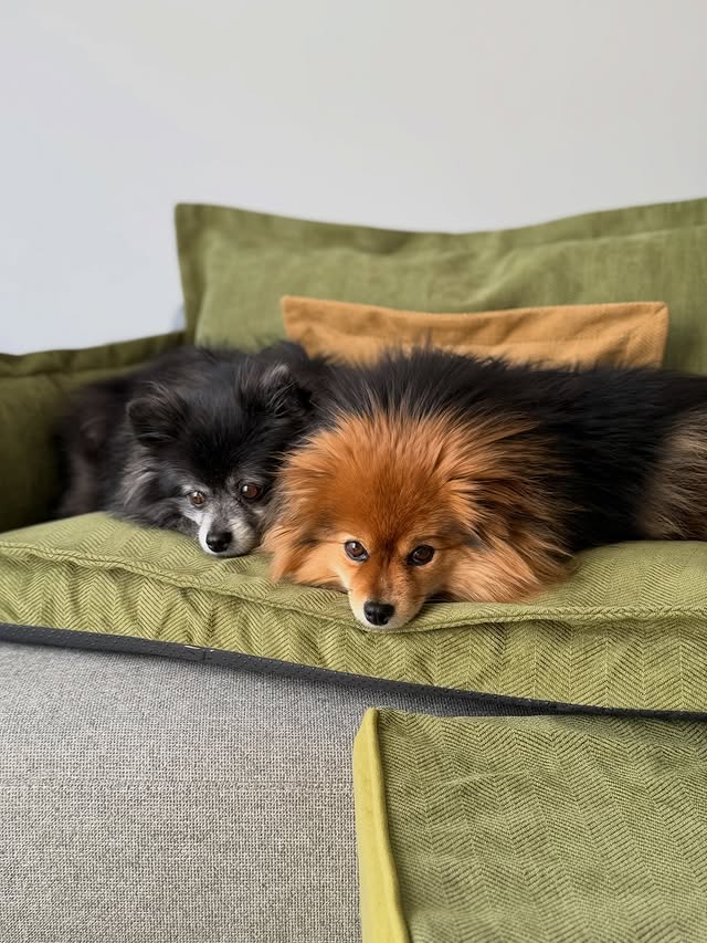 Instagram post by @leon_thepompom for FunnyFuzzy. Caption reads: [...] this good too 💚 #retroherringbone....