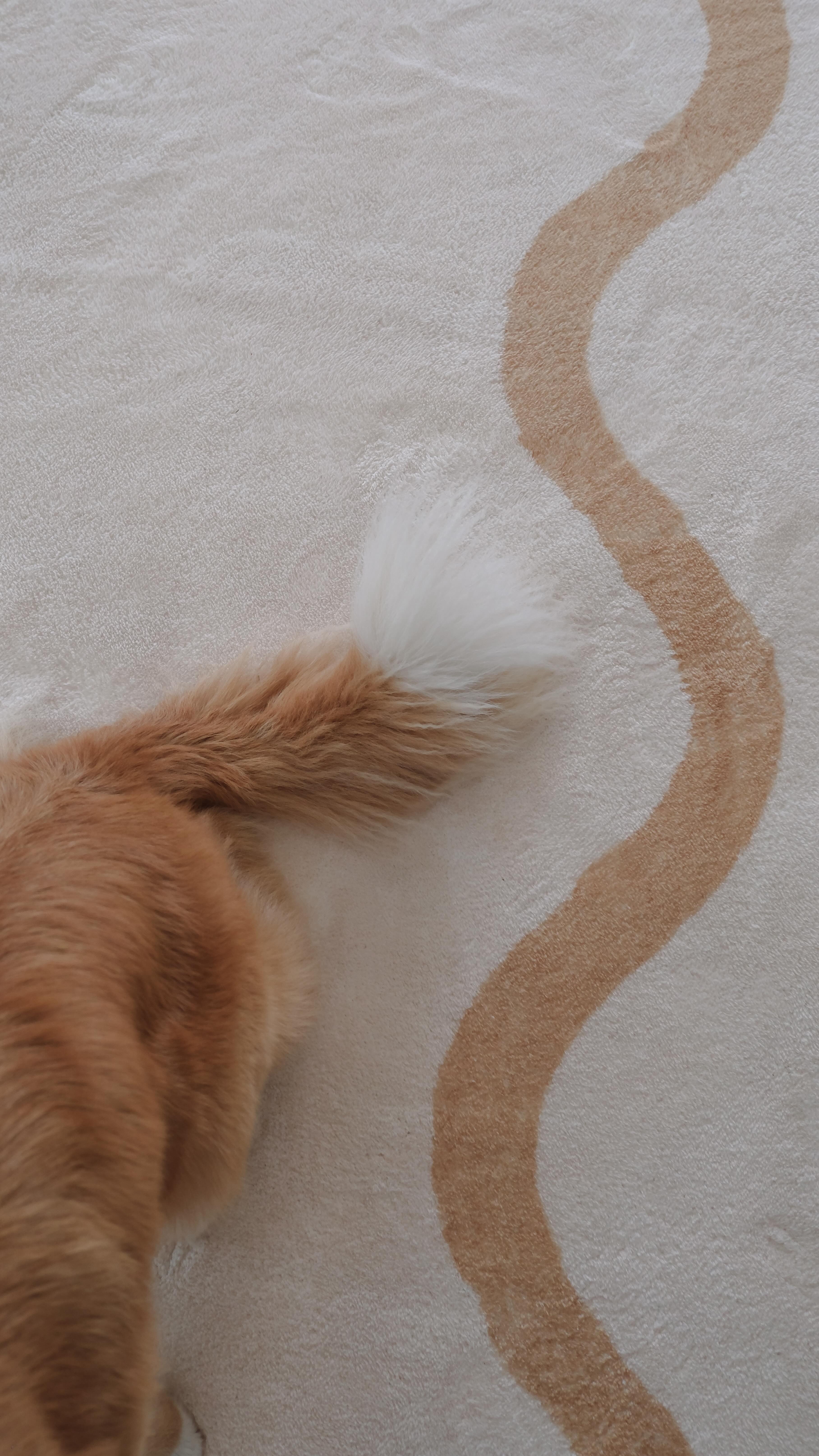 Instagram post by @_elisewilson for Miss Amara. Caption reads: Sunday’s latest house obsession 🤎 @missamaraloves....