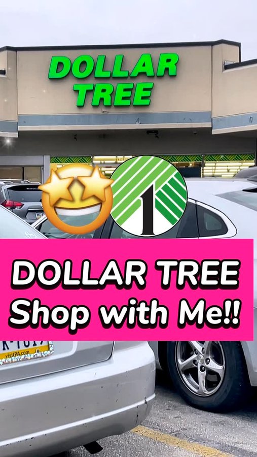 Instagram post by @sensationalfinds for Dollar Tree. Caption reads: Brand NEW Dollar Tree finds you need to buy before....