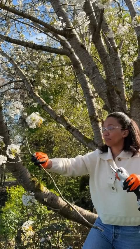 Instagram post by @diana_at_the_cottage for STIHL. Caption reads: [...] such a beautiful spring display 🌸 My....