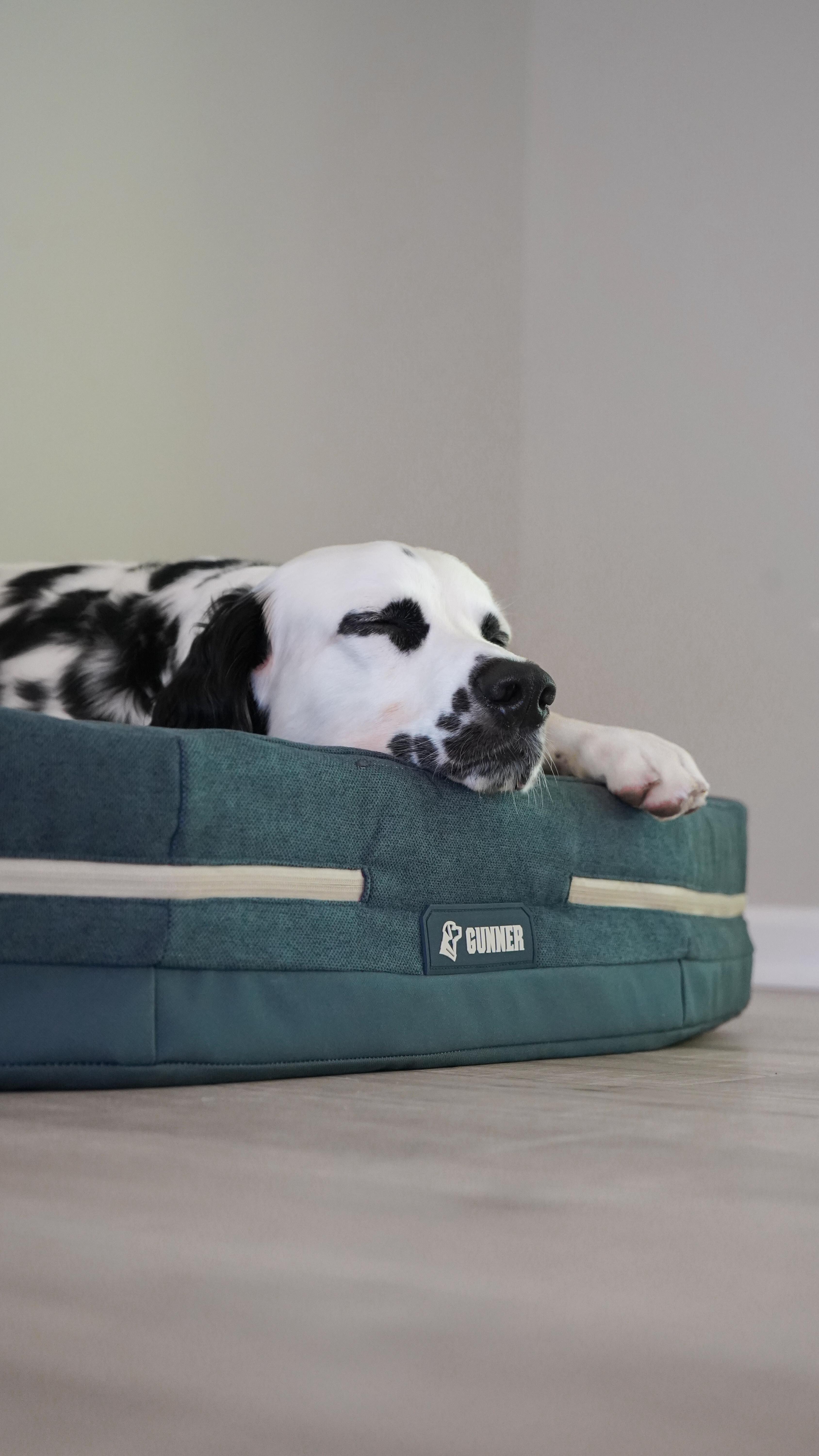 Instagram post by @ryderdalmatian for Gunner. Caption reads: The new @gunnerkennels Homestead Dog Bed is truly....