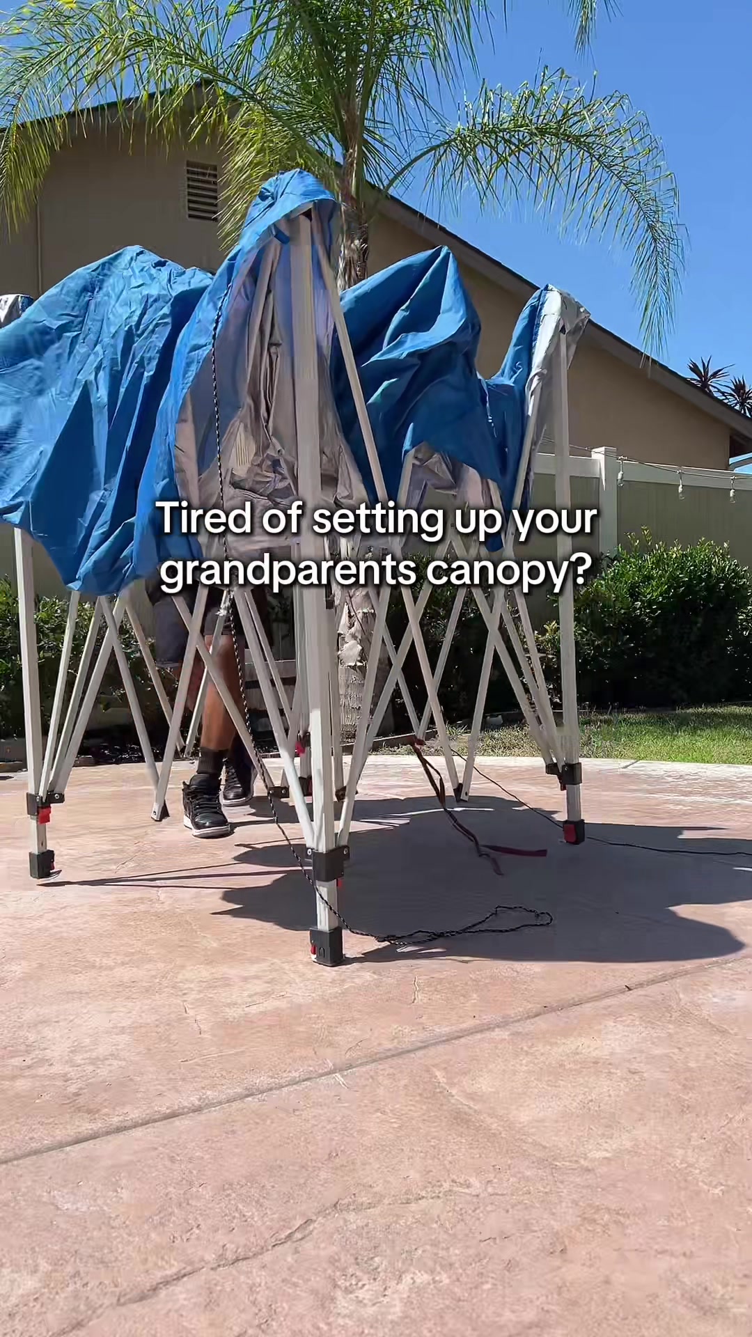 TikTok post by @hiddengemssd for Phi Villa. Caption reads: [...] price 😮‍💨 #canopy #onepushcanopy @PHIVILLA.