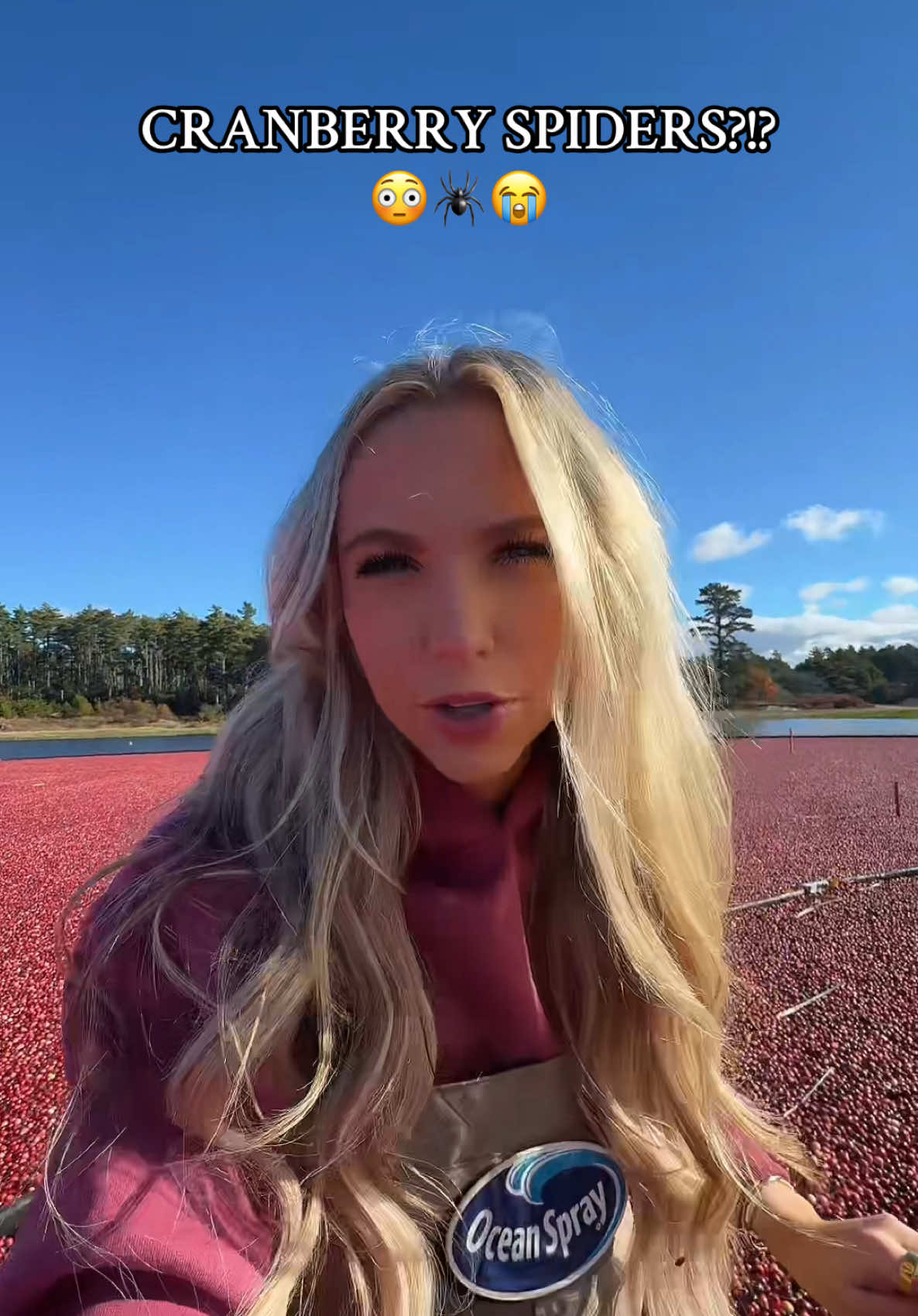 TikTok post by @not.eg for Ocean Spray. Caption reads: Nothing says fall like spiders in the....