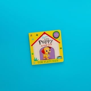 Instagram post by @tomfletcher for Puffin Books. Caption reads: Check out my new adventure for big imaginations,....