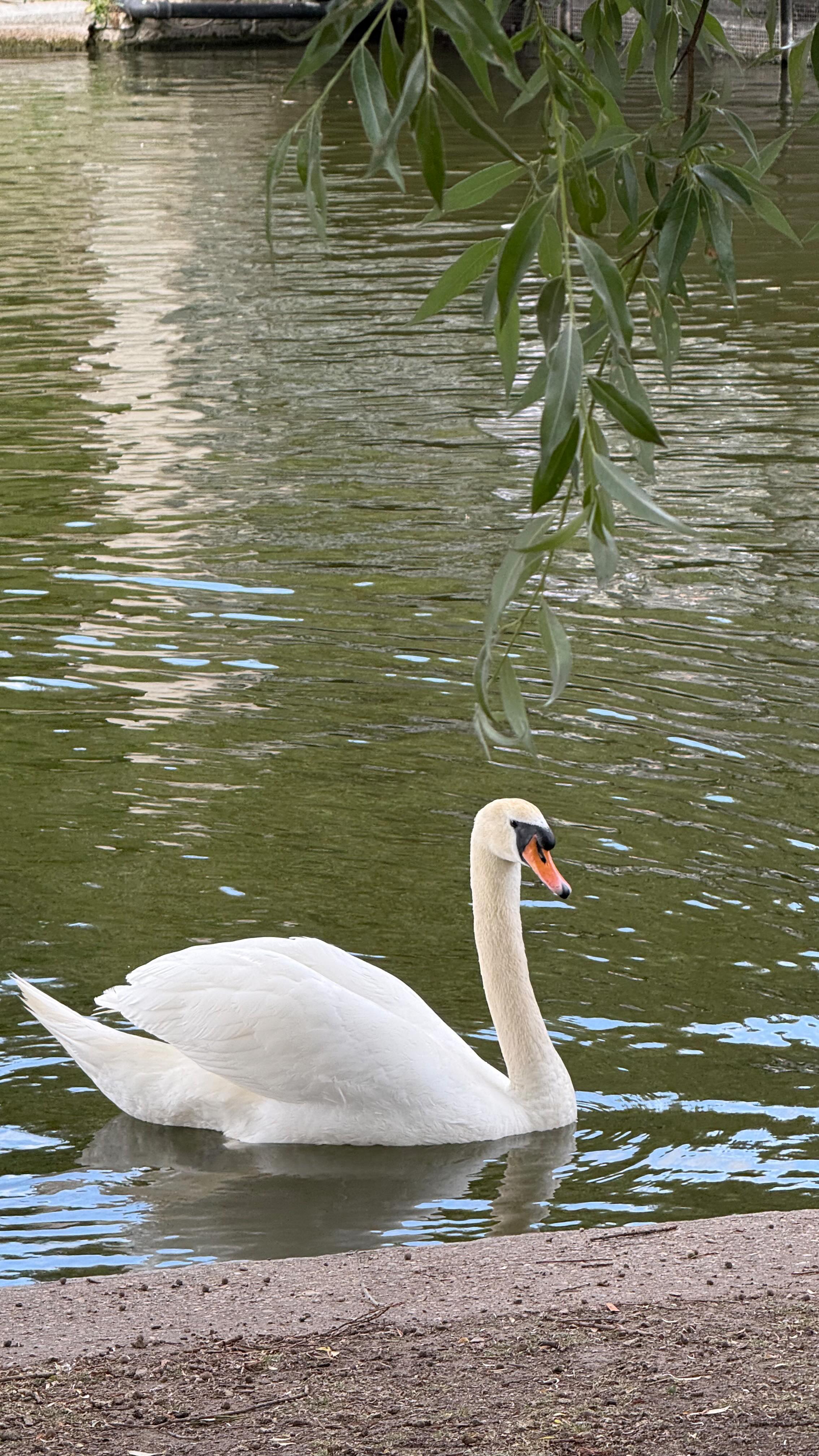 Instagram post by @arunniima for Monsoon. Caption reads: Soft girl for every season 🤍

Outfit 1: Tilly....