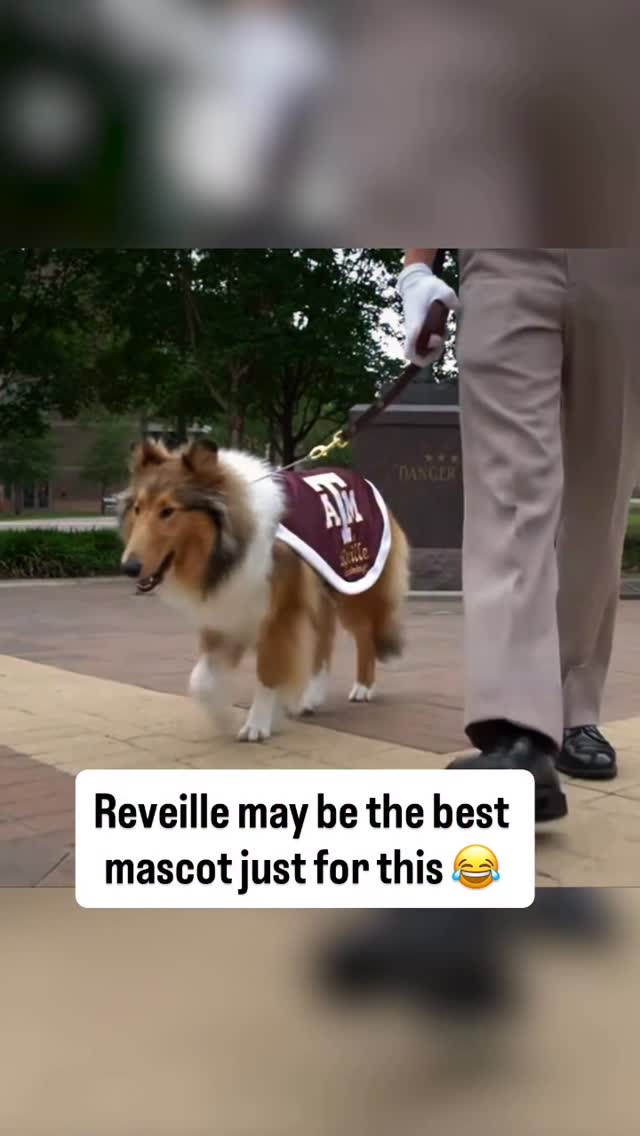 Instagram post by @omahaproductions for ESPN. Caption reads: Would need Reveille in every class 😂

Stream the....