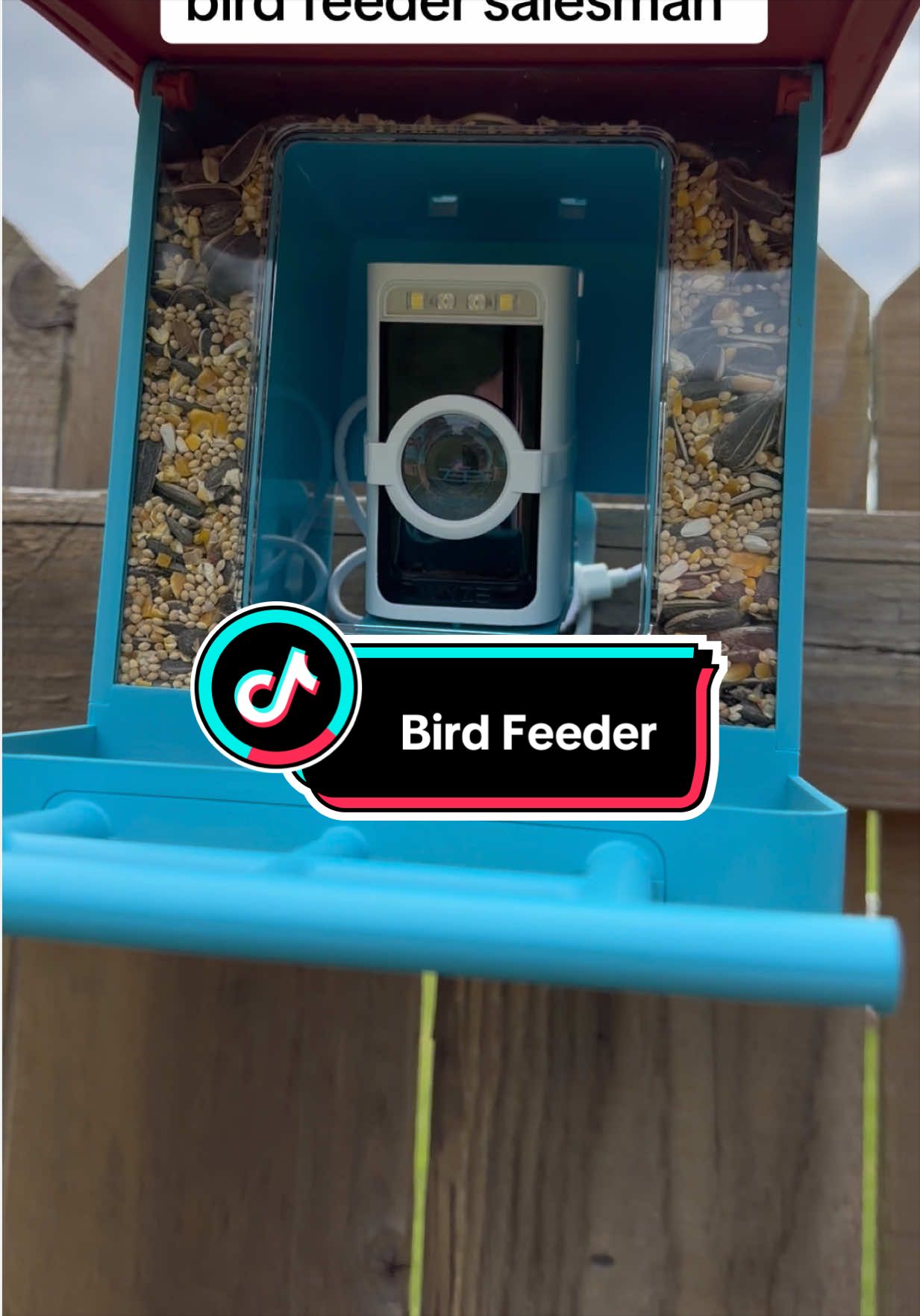 TikTok post by @theemptynestclub for Wyze. Caption reads: [...] squirrels and cardinals 😂🐦 #birdfeeder....