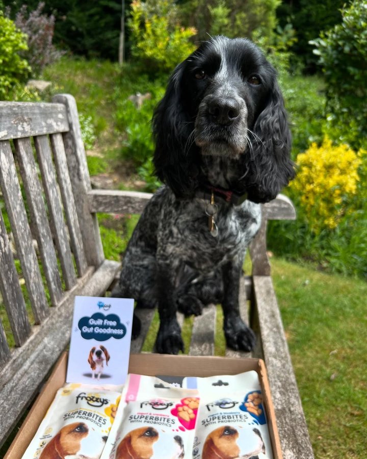 Instagram post by @dollythehearingdog for Frozzys. Caption reads: Mmmmm 🫐
Yummy Frozzys Superbites for my birthday....