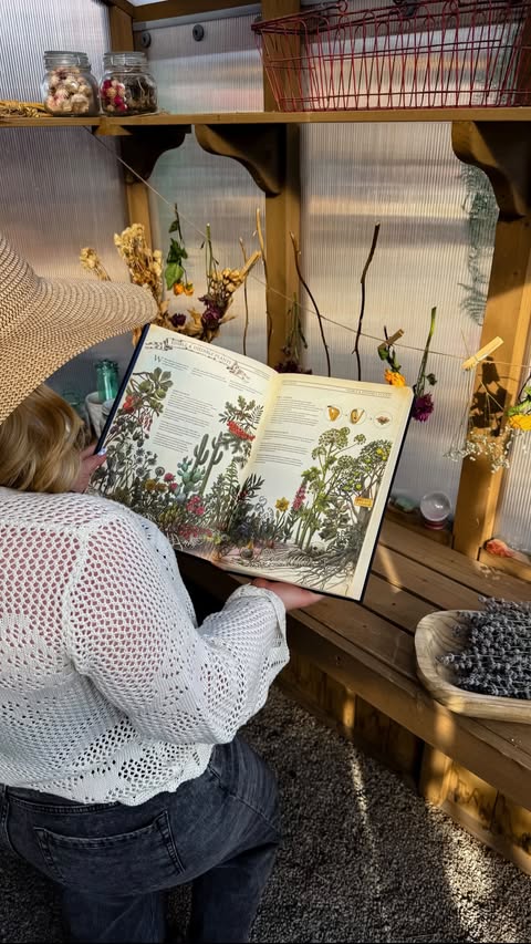 Instagram post by @mamanowwhat for Hungry Minds. Caption reads: [...] knowledge back into our hands!....