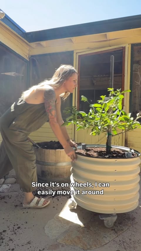 Instagram post by @wildgreenbean for Vego Garden. Caption reads: [...] #planterfortrees #vegogarden.