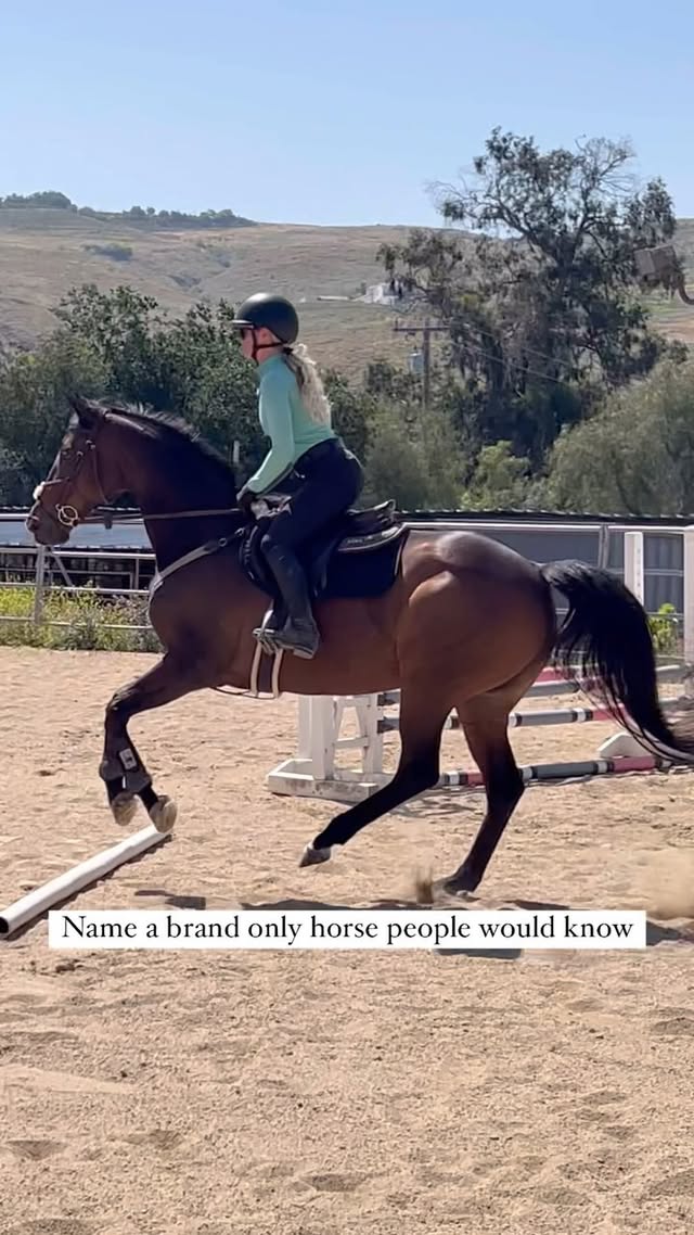 Instagram post by @zlequestrian for Majyk Equipe. Caption reads: [...] West Valley Horse Center @shires_usa....