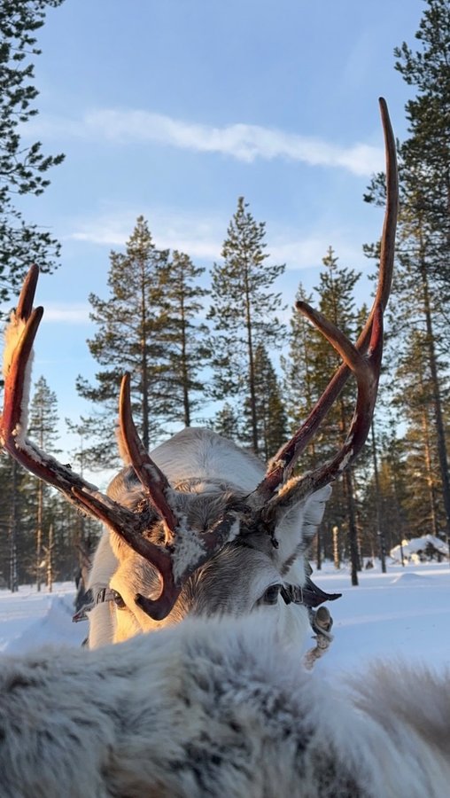 Instagram post by @constanzeaurelia for Moon Boot. Caption reads: brrrr 🥶 | ootd: @falke & @moonboot |ad.