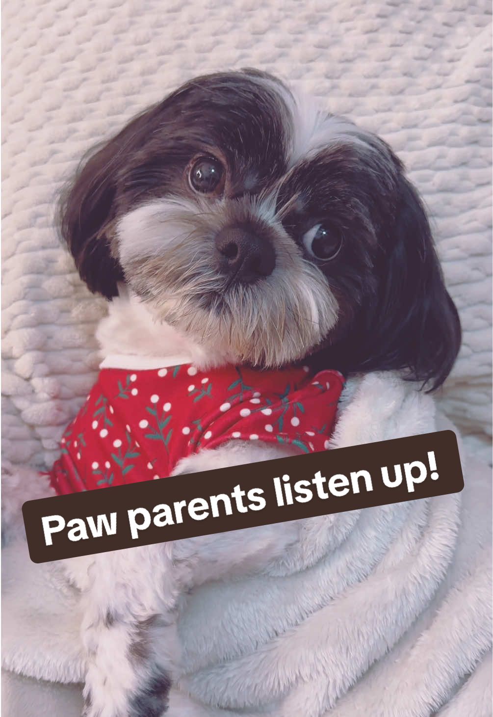 TikTok post by @lafloreciitaa for PetMD Store. Caption reads: [...] #petdentalwipes #petearwipes @PetMDStore .