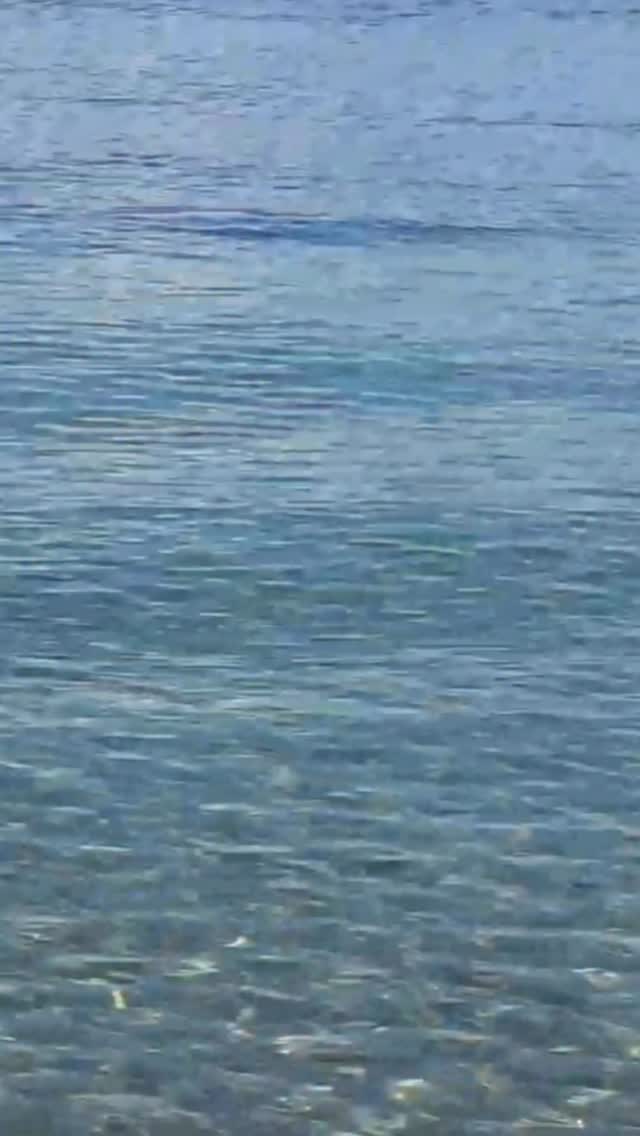 Instagram post by @brookehogan for Biossance. Caption reads: ⭐️ GIVEAWAY ⭐️ 

To celebrate International....