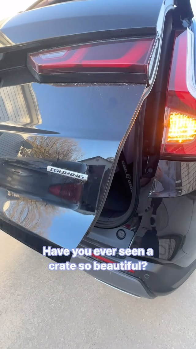 Instagram post by @will_and_mill for Gunner. Caption reads: [...] seen something so beautiful? Our new....