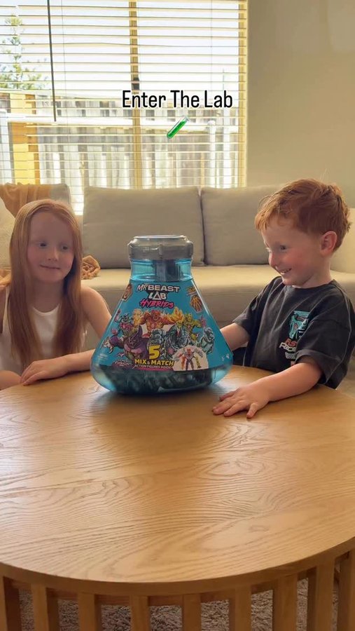 Instagram post by @lifewith_thefowlers for The Connect Agency. Caption reads: When Science meets chaos it means MrBeast has....