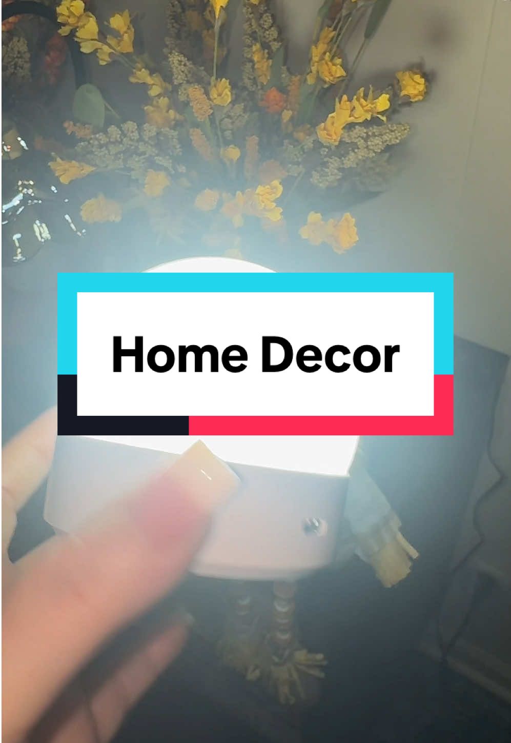 TikTok post by @tamberlynne24 for Belife. Caption reads: [...] #homedecorideas #rechargeablelights....
