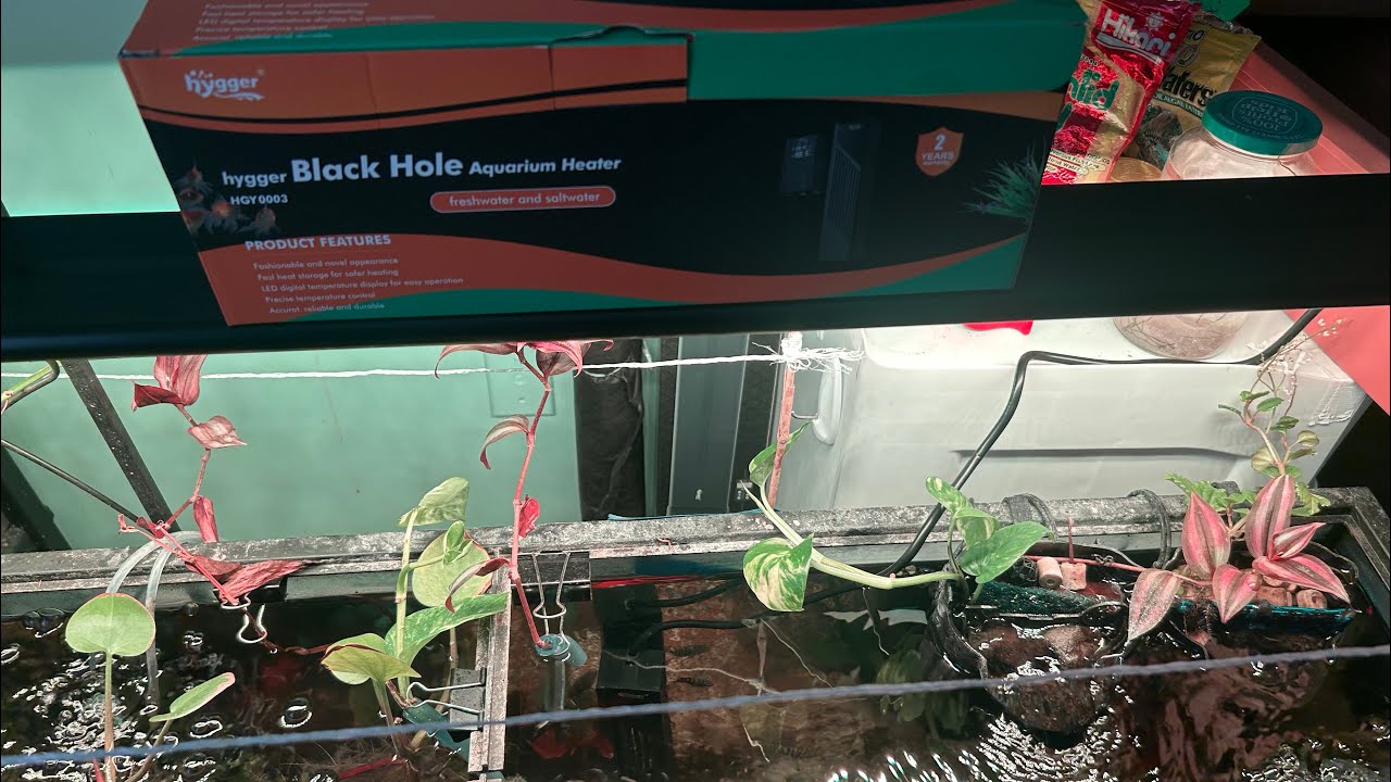 YouTube post by @KingOfAquariums for Hygger Aquarium. Caption reads: STOP Using Cheap Heaters You're Making a BIG....