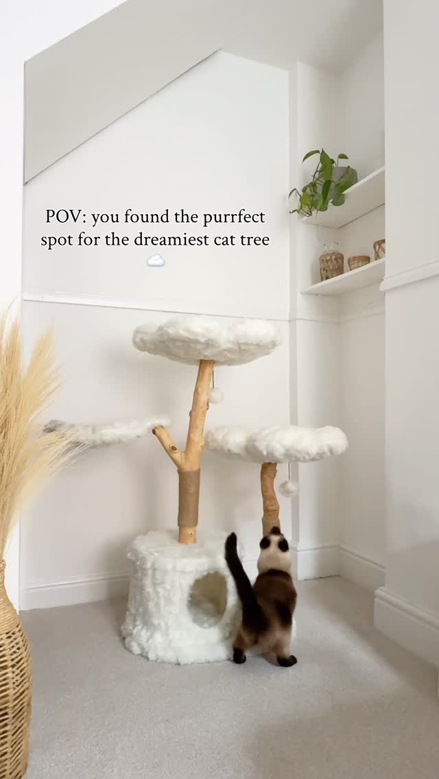 Instagram post by @thatcatdobby for KBSPETS. Caption reads: the prettiest cat tree ☁️ thank you @kbspets 🤍....