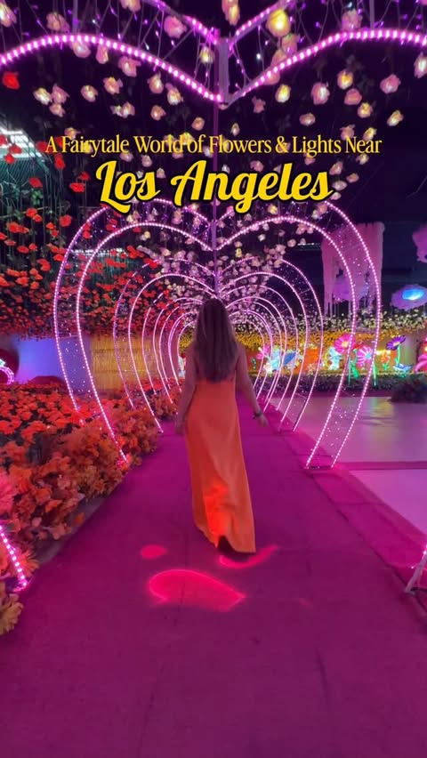 Instagram post by @lianturnbo for Imaginarium360. Caption reads: [...] lights, color, and imagination at....