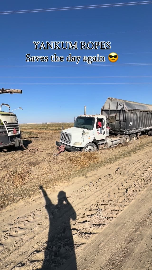 Instagram post by @califarmer30 for Yankum. Caption reads: Link in bio. Use code califarmer30 for 10% off....