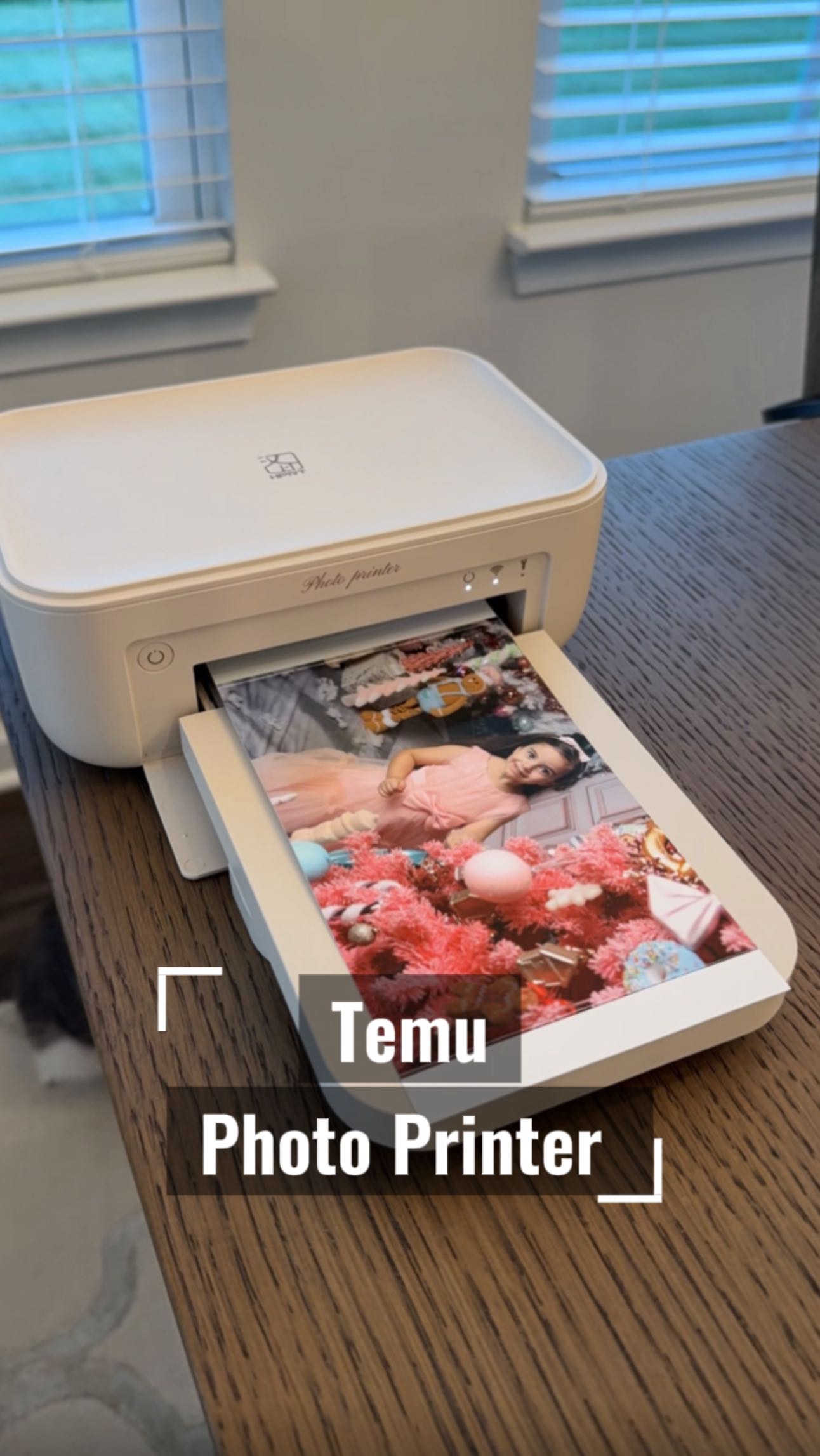 Instagram post by @dileks_journal for temu. Caption reads: I just printed these adorable memories straight....