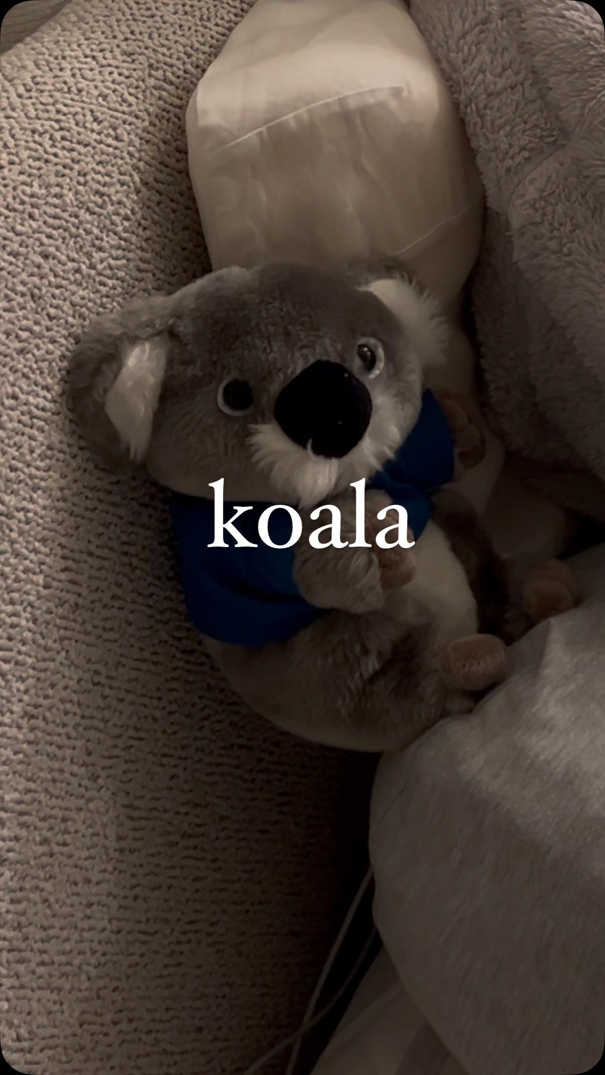 Instagram post by @nishiyamamao for Koala. Caption reads: 前回のコアラマットレスの動画でフレームがない事に気付いていた方は居ますか?!🐨

フレームが届き、....