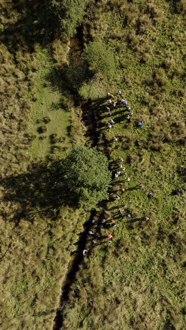 Instagram post by @sarahronholt for Patagonia. Caption reads: What a pinch-me moment! Being able to bring so....