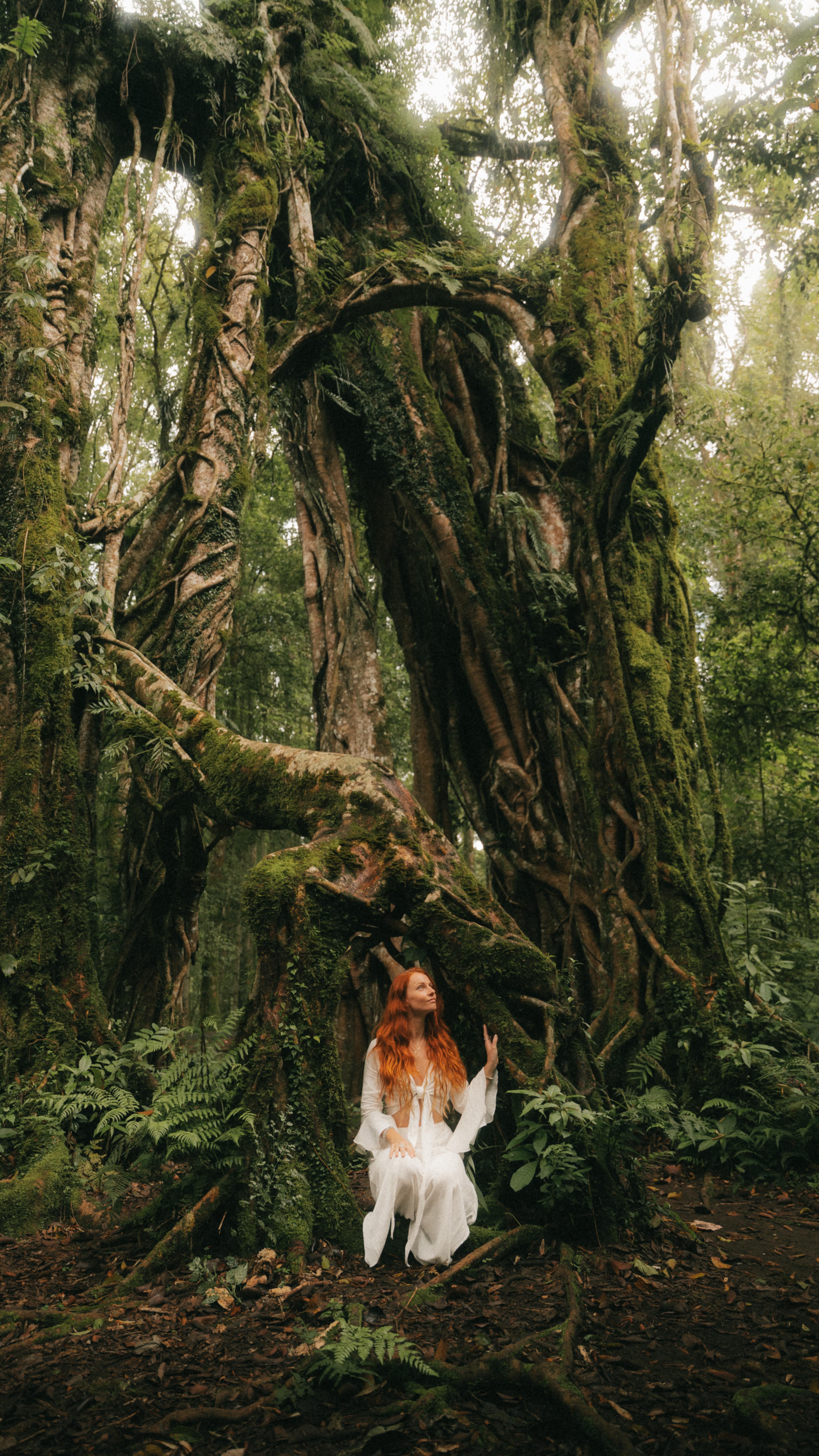 Instagram post by @earthyvas for PlantWave. Caption reads: [...] favourite things to travel with is my....