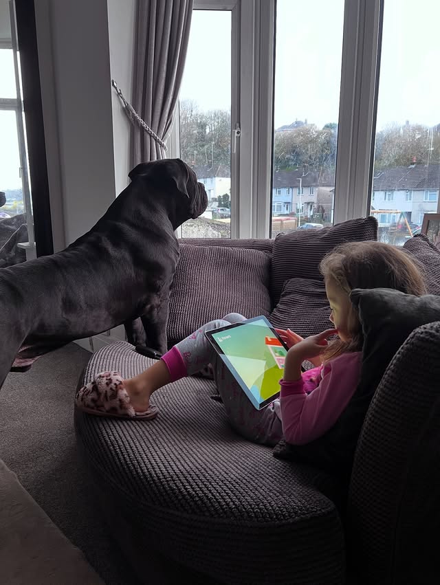 Instagram post by @_bigmav for YuMOVE. Caption reads: [...] support and advice. Enforced rest and....