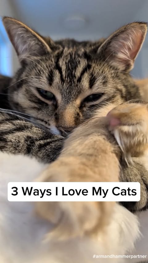 Instagram post by @gingiandluna for ARM and HAMMER. Caption reads: [...] so grateful to be partnering up with....