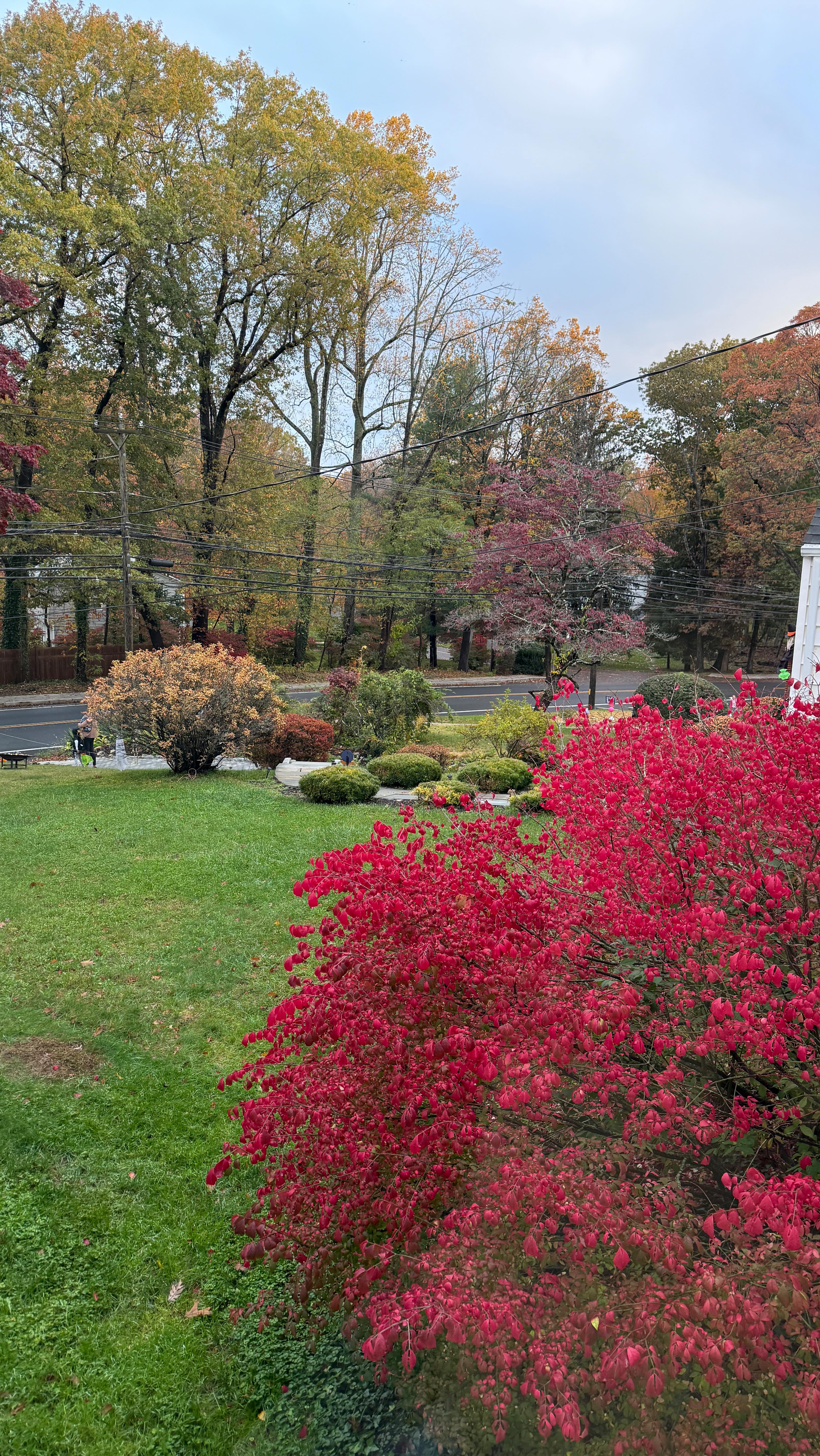 Instagram post by @aubreylobban for Naked Wardrobe. Caption reads: [...] is my new staple piece omg!!! @nakedwardrobe....