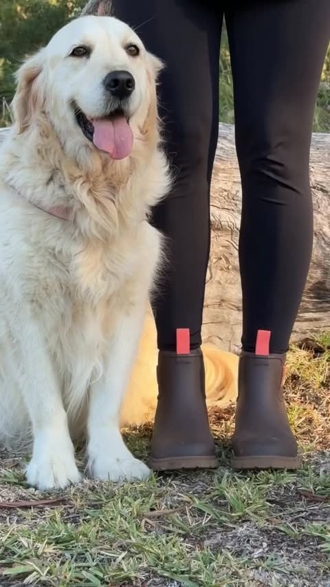 Instagram post by @kellyashleigh_styles for Merry People. Caption reads: A Merry walk with my dog and @merrypeople boots....