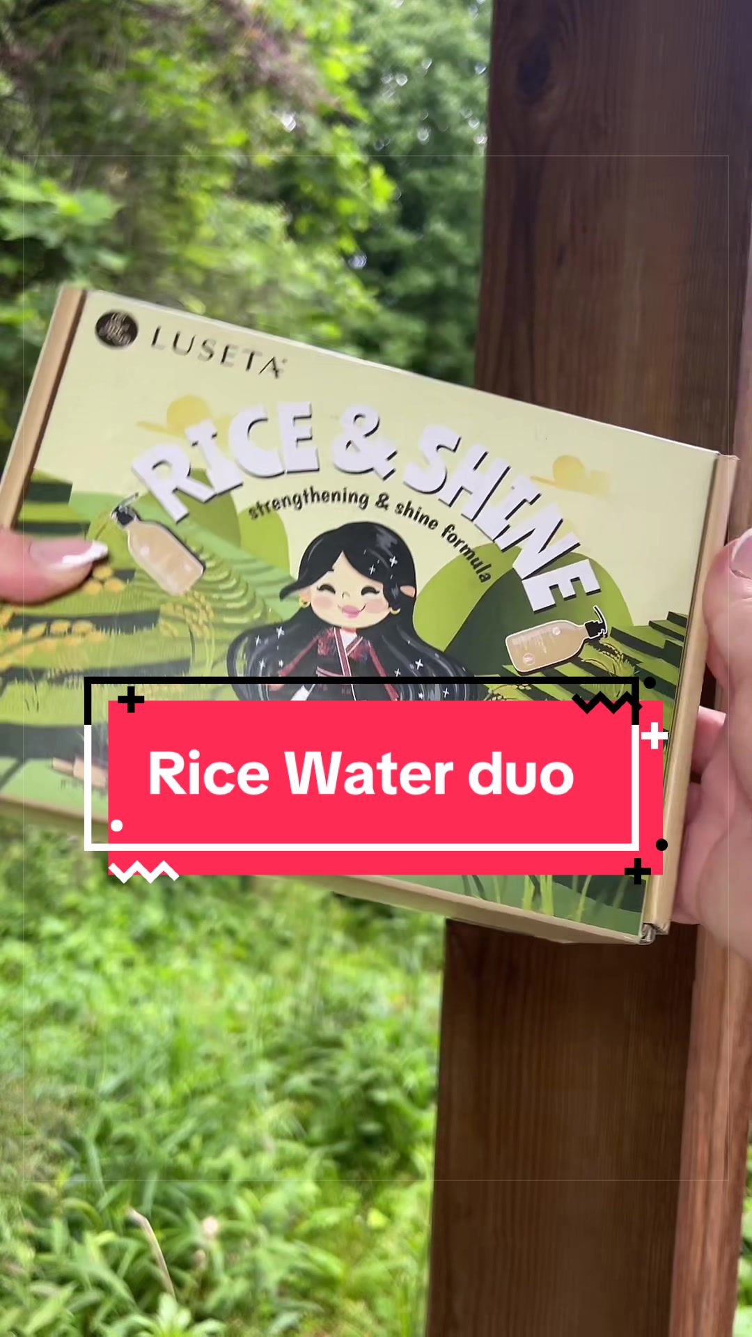 TikTok post by @scarlettadventuress for Luseta Beauty. Caption reads: @Luseta Beauty #damagedhair #ricewatershampoo....