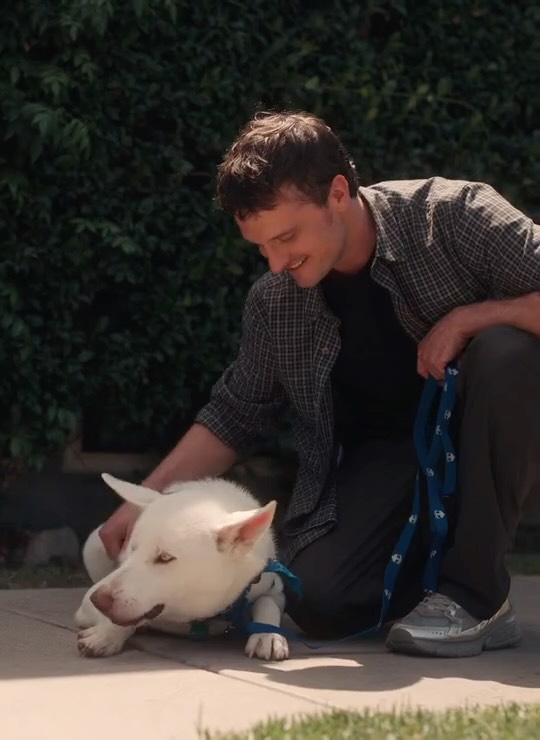 Instagram post by @jhutch1992 for Hill's Pet Nutrition. Caption reads: #ad #HillsPartner Spent the day soaking up the LA....