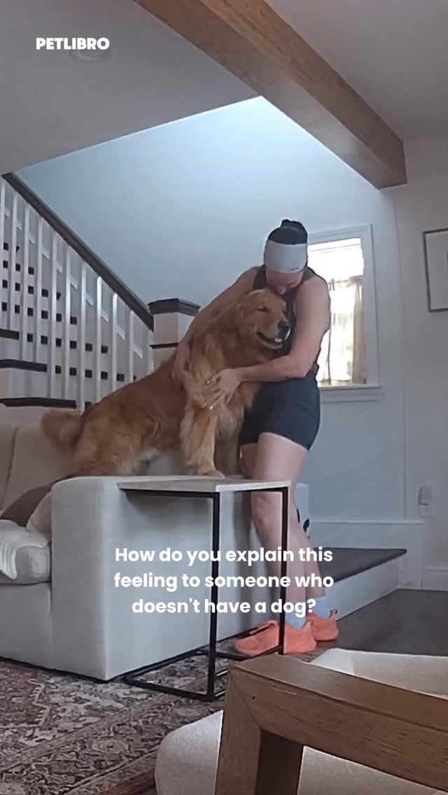 Instagram post by @wally.meets.world for Petlibro. Caption reads: These are moments we would never get to see and....