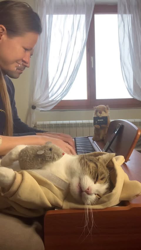 Instagram post by @pianists_mariana.dimcho for DonnerMusic. Caption reads: [...] cartoon)
on Donner DDP-80....