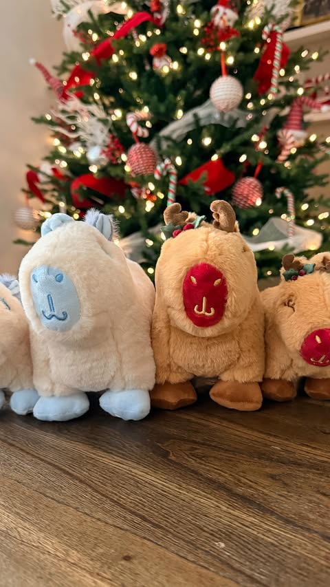 Instagram post by @gorg.alyssa for Capy Era. Caption reads: Kid-approved gift alert 🚨🎁🎄 @capyera 

DC:....