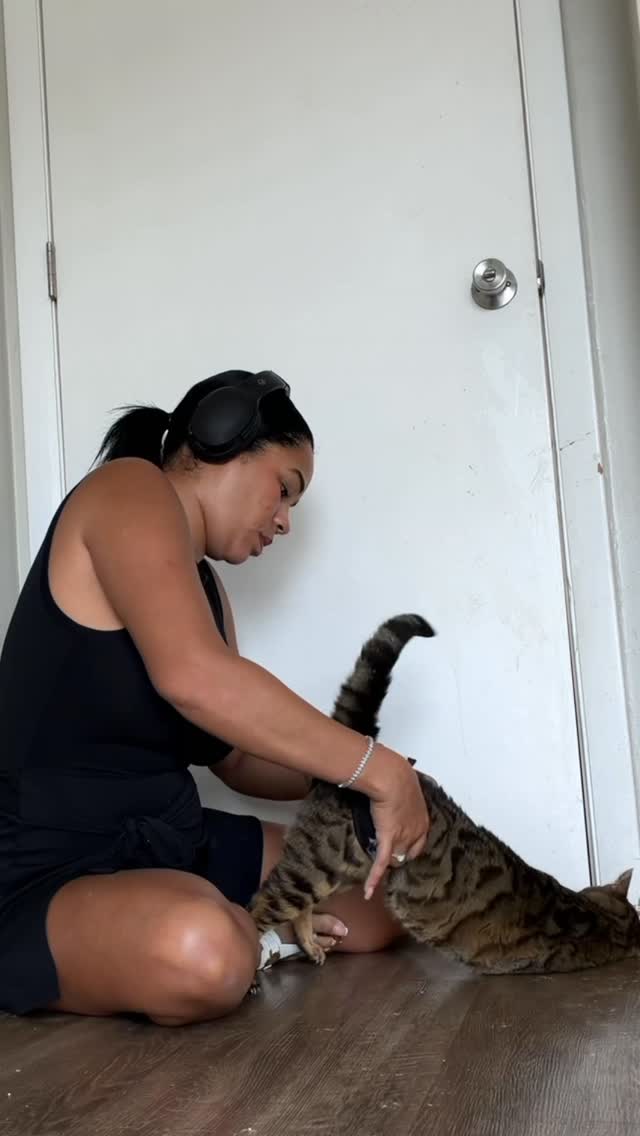 Instagram post by @_thereallifesnowwhite_ for Oneisall. Caption reads: Caring for a cat with kidney failure isn’t easy,....