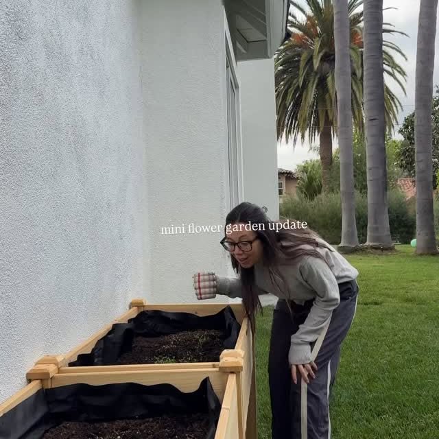 Instagram post by @debtrette for Ferry-Morse. Caption reads: [...] in my backyard! I partnered with....