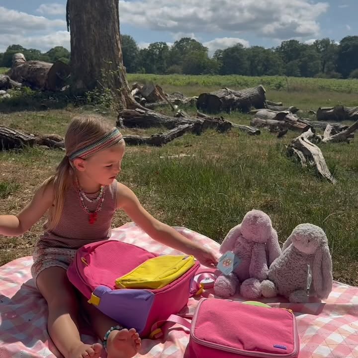Instagram post by @laurenrgall for Away. Caption reads: Sunny days call for a little teddy bear picnic,....