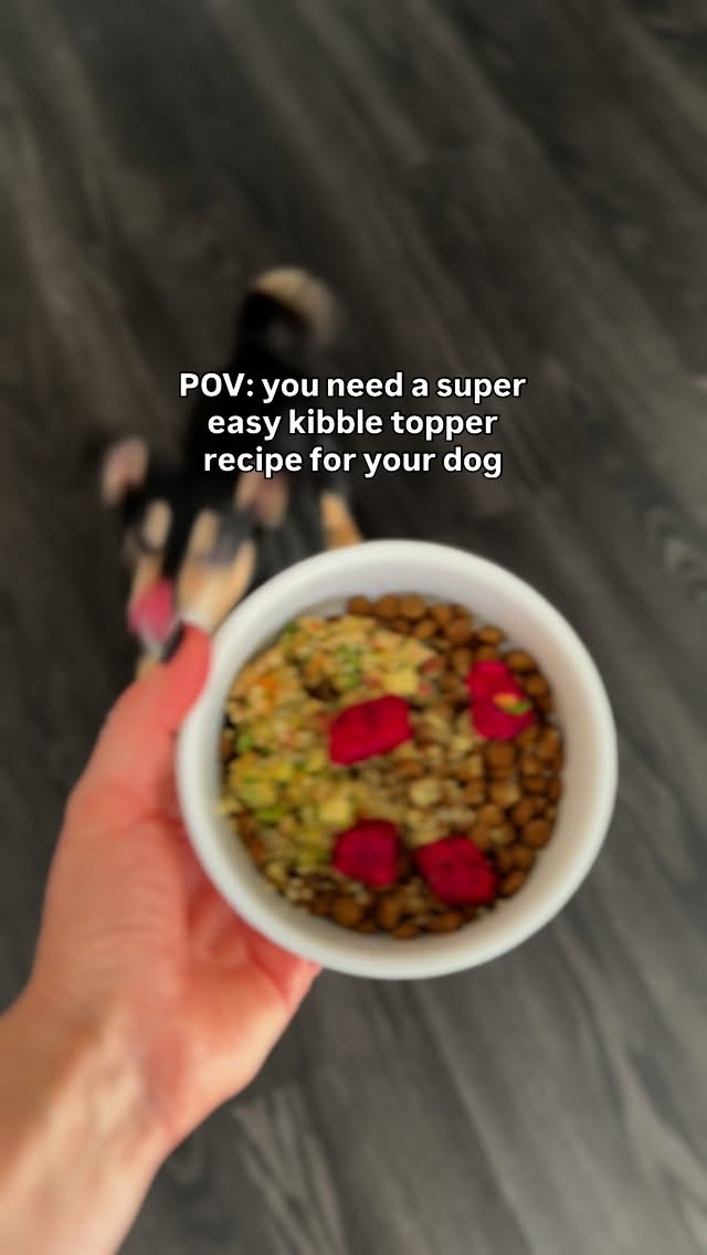 Instagram post by @doctorwolfe.dvm for Vetnique. Caption reads: Kibble topper recipe 👇🏻 

🦃 60 grams fat free....