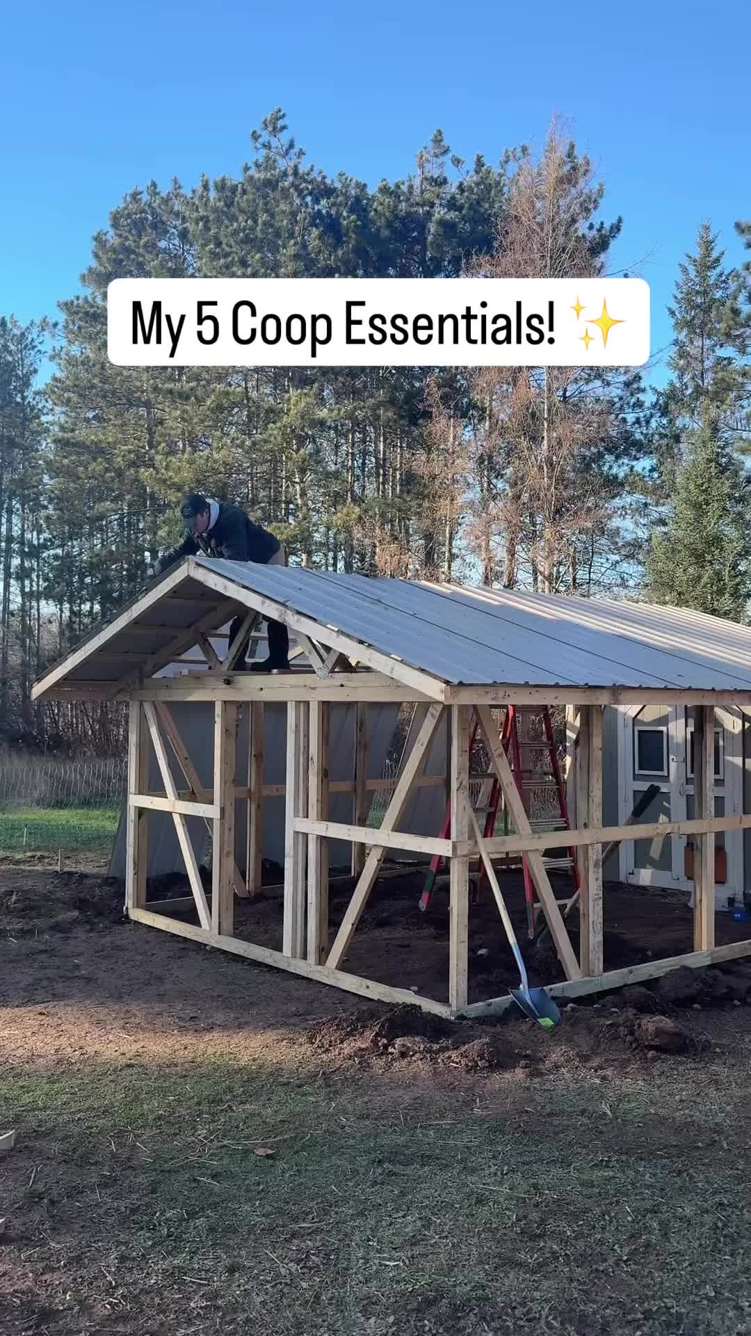 TikTok post by @thehomesteadingrd for Chickcozy. Caption reads: My top 5 tips for a stress-free coop! I've been....