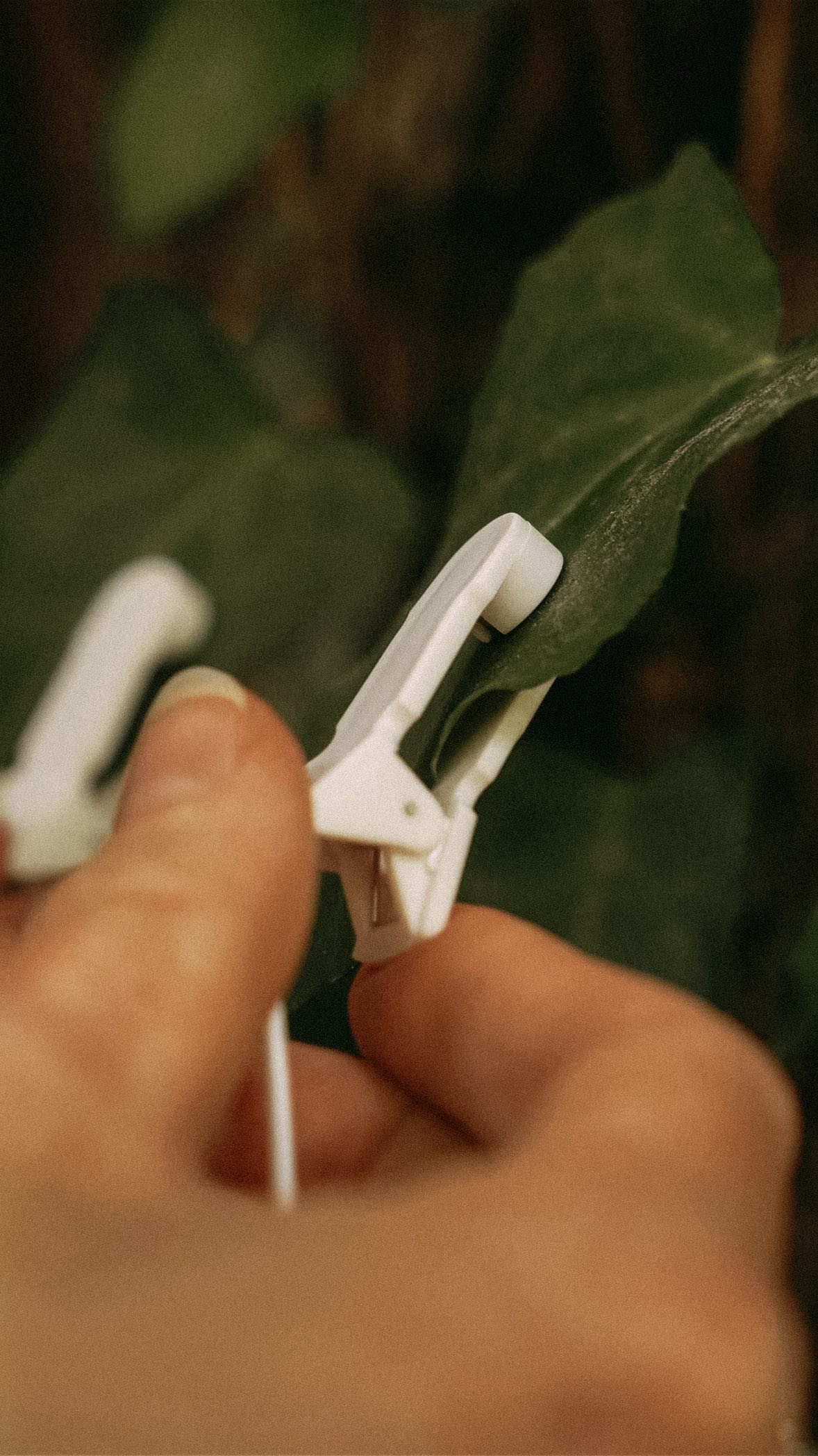 Instagram post by @earthyvas for PlantWave. Caption reads: [...] what if I played with nature? My @plantwave....