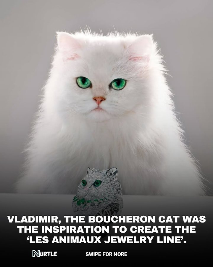Instagram post by @therealnurtle for Boucheron. Caption reads: Wladimir, the cat of French jewelry house....