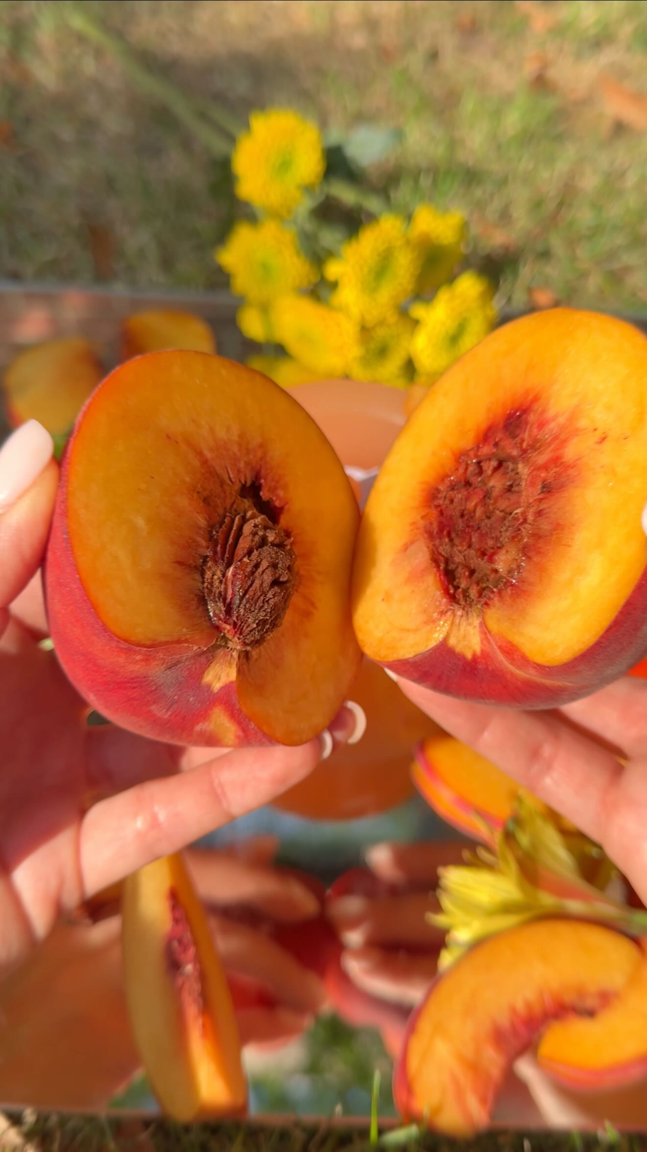 Instagram post by @clairesawa for Dae Hair. Caption reads: [...] colors and ways to capture the....