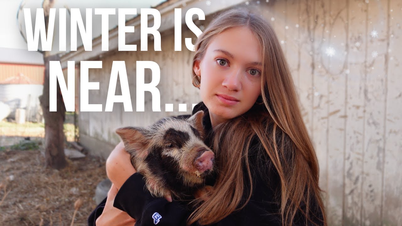 YouTube post by @EvelynsFarmDiaries for Ever Lasting Fabric. Caption reads: Preparing the Farm for a Cold Winter ❄️🥶.