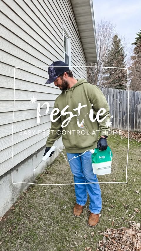 Instagram post by @lexienoelleundem for Pestie. Caption reads: [...] are the bugs. I've been using @pestie to....