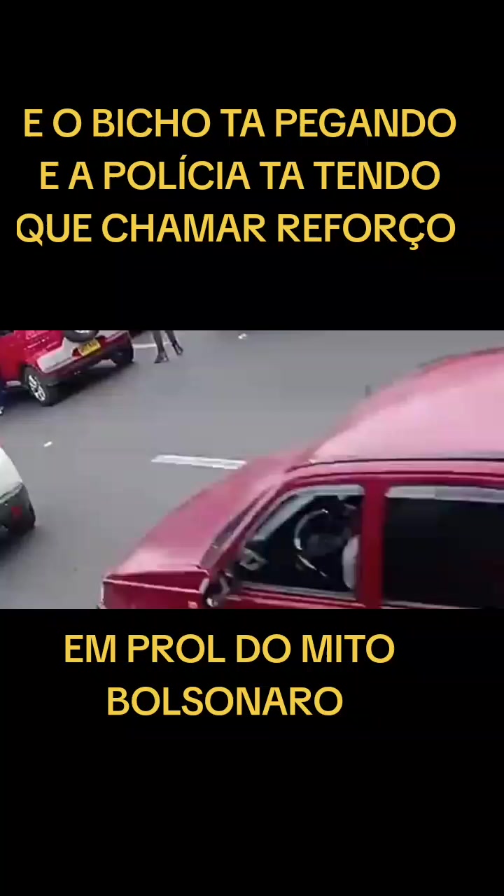 TikTok post by @nordestino2123 for Salon Line. Caption reads: #VoiceEffects #RotinaDeXêrosa @salonlinebrasil....