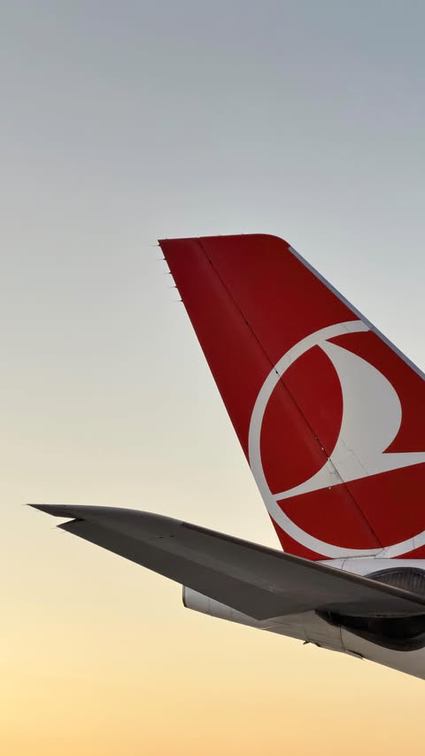 Instagram post by @d_japanese for Turkish Airlines. Caption reads: [...] the best times #Türkiye #トルコ #AD....